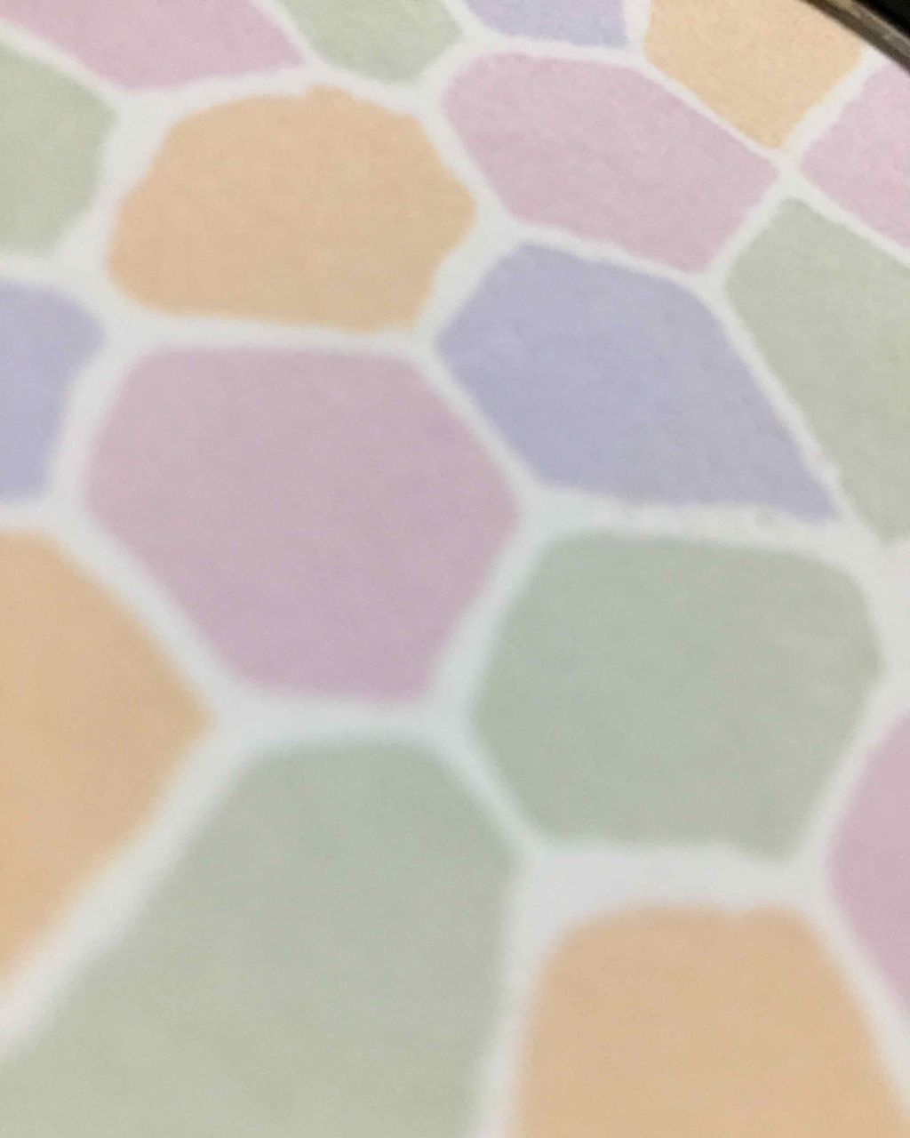 エレガンス ラ プードル オートニュアンス リクスィーズ/Elégance/プレストパウダーを使ったクチコミ（2枚目）