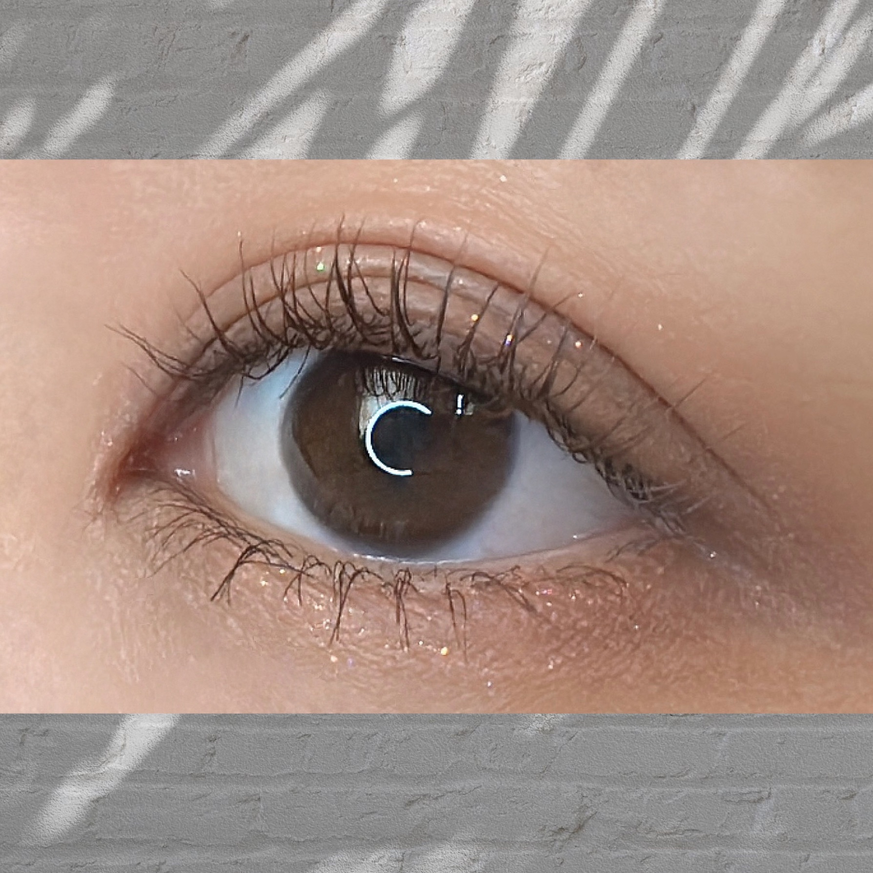 メルテッド チョコレート マット アイシャドウ ウォーム＆ファジー/Too Faced/リキッドアイシャドウを使ったクチコミ（2枚目）