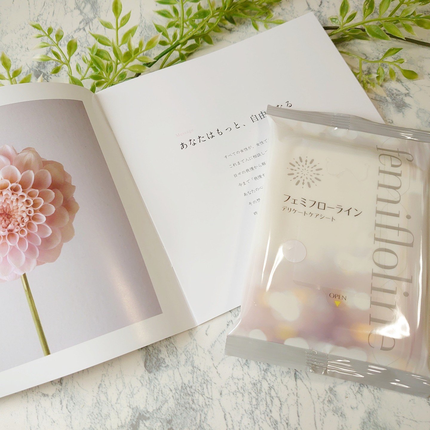 フェミフローライン　デリケートケアシート/わかもと製薬/デリケートゾーンケアを使ったクチコミ（2枚目）