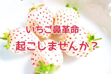 【いちご鼻歴9年間が語る】
こんばんは、ちょぱちゃんです。
今回は小6から9年間悩まされていたいちご鼻がついに改善されたお話。

なかなか、なおりませんよね。
ありとあらゆる毛穴に効くものを使ってきまし