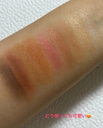 ディオール バックステージ アイ パレット/Dior/アイシャドウパレットを使ったクチコミ(2枚目)