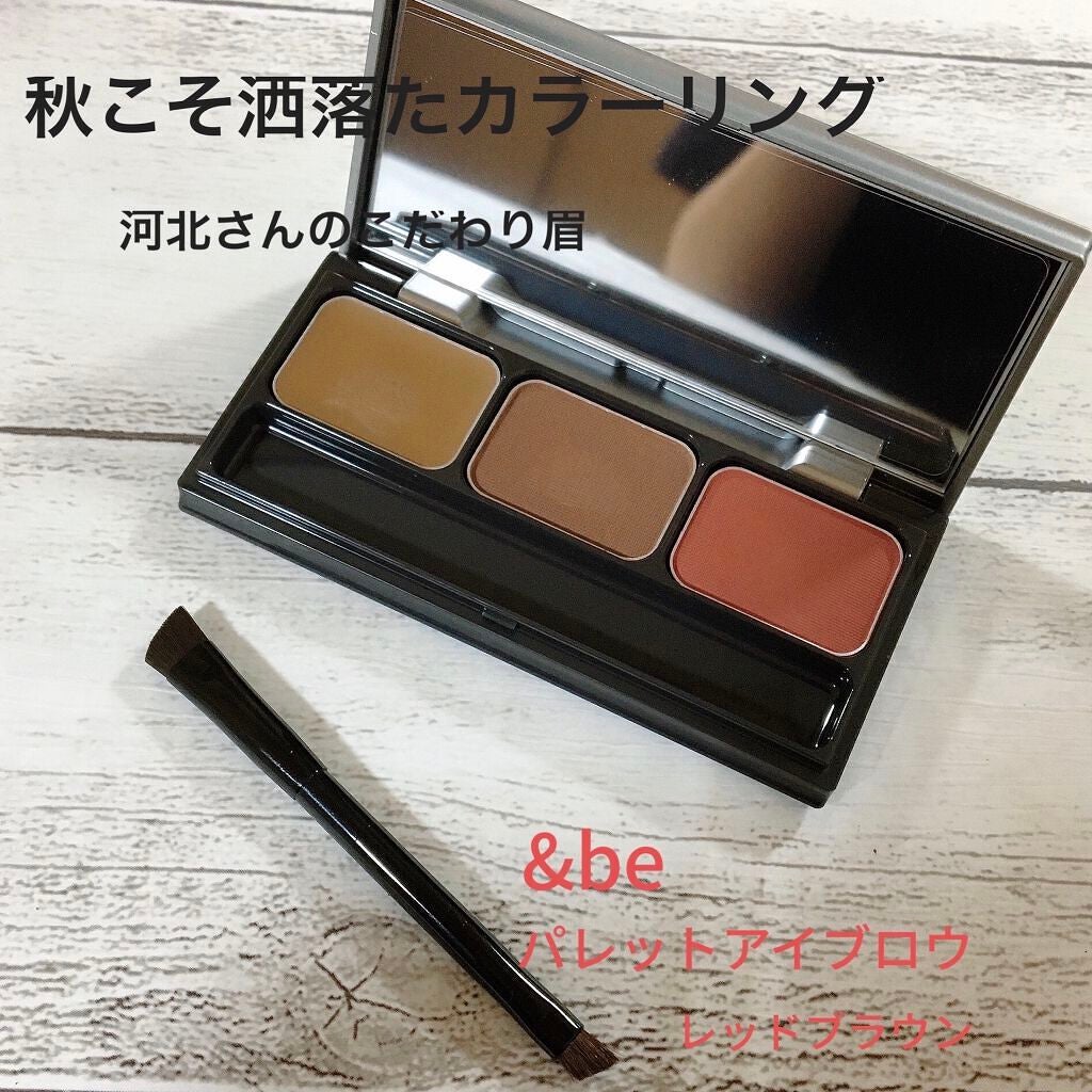 パレットアイブロウ/&be/パウダーアイブロウを使ったクチコミ(1枚目)