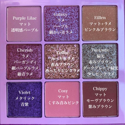 诗蒂娅九色眼影盘 (9 Colors Eye Shadow Palette)/SHEDELLA/アイシャドウパレットを使ったクチコミ(3枚目)