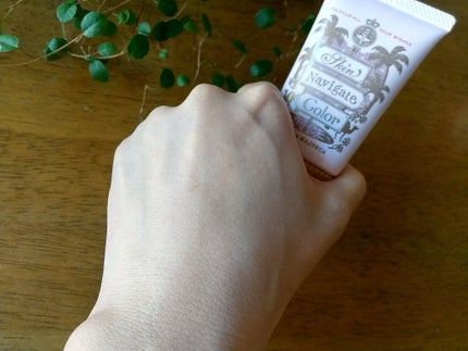 スキンナビゲートカラー/MAJOLICA MAJORCA/化粧下地を使ったクチコミ(5枚目)