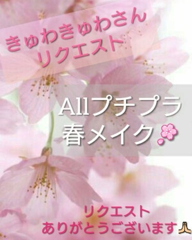 チーク カラー(ブラシ付)/ちふれ/パウダーチークを使ったクチコミ（1枚目）