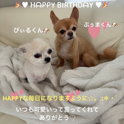 マニキュア/プロランス/マニキュアを使ったクチコミ(6枚目)