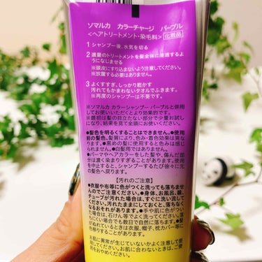 kkk_mmm on LIPS 「.インナーカラーを長持ちさせる為に紫トリートメント使用！.日本..」（3枚目）
