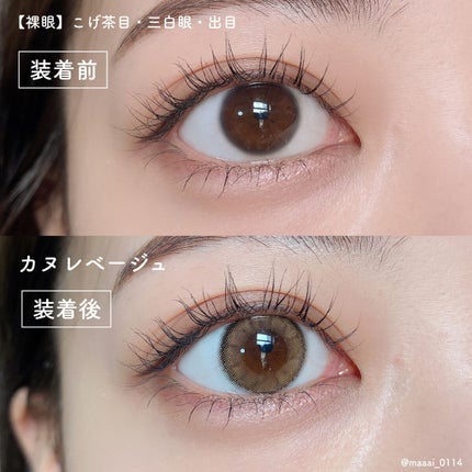 シルキースフレアイズ(マットタイプ)/キャンメイク/アイシャドウパレットを使ったクチコミ(4枚目)