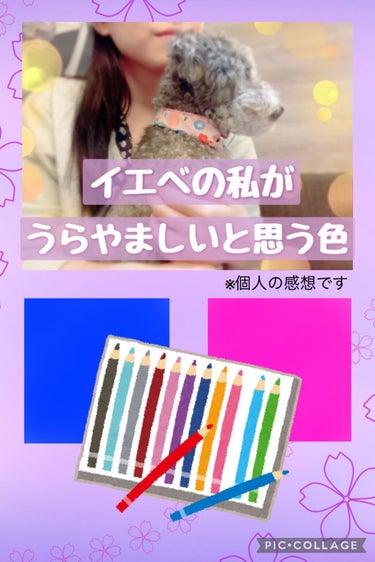 倉鹿るる🦌✨ﾌｫﾛﾊﾞ100 on LIPS 「基本的には、カラー診断は参考程度にして好きなもの着れば良いよね..」（1枚目）