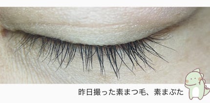 スカルプD ボーテ ピュアフリーアイラッシュセラム プレミアム/アンファー(スカルプD)/まつげ美容液を使ったクチコミ(3枚目)