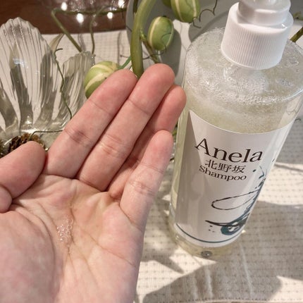 Rie_beauty on LIPS 「\テラヘルツの振動で頭皮に栄養を届ける!/Anela北野坂-..」(4枚目)