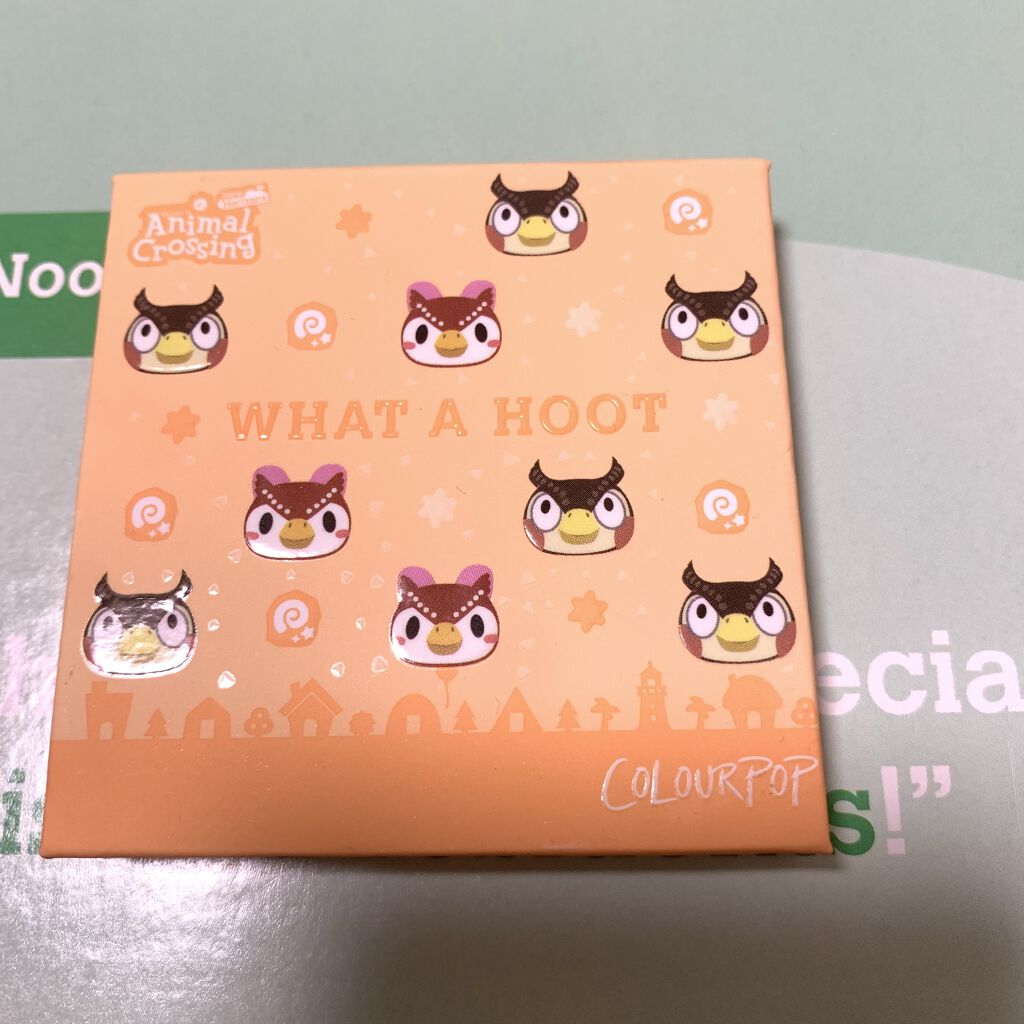  ノーフィルターファンデーション/ColourPop/リキッドファンデーションを使ったクチコミ（2枚目）