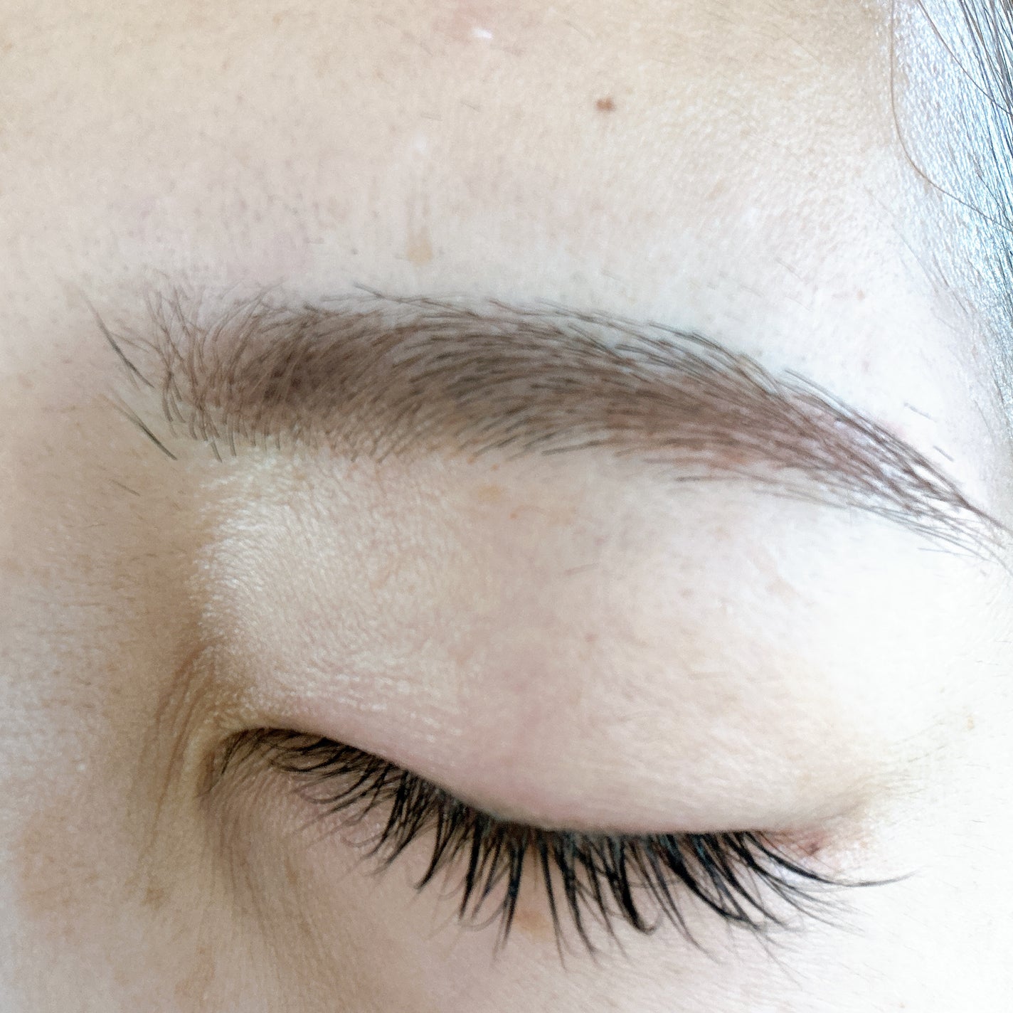 マジカルアイブロウカラー/Fujiko/眉マスカラを使ったクチコミ(6枚目)