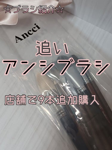 ANC 102S/Ancci brush/メイクブラシを使ったクチコミ（1枚目）