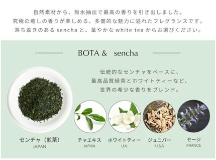 ボタアンド ザ シャンプー <sencha>/クオリティファースト/市販シャンプーを使ったクチコミ(8枚目)