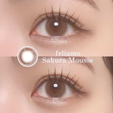 今日も白石麻衣さんがモデルを務めるカラコンを紹介します🌈

________________

feliamo
Sakura mousse
1day
G.Dia 13.7mm

____________