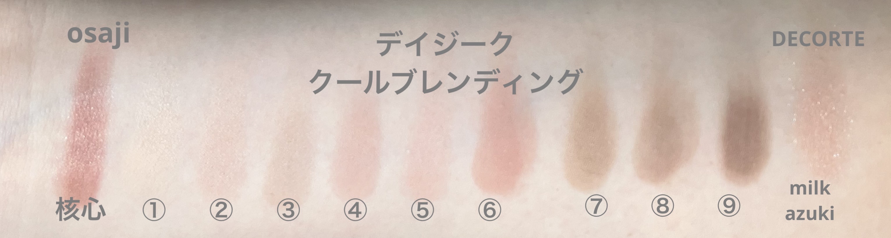 シャドウパレット/dasique/アイシャドウパレットを使ったクチコミ（3枚目）