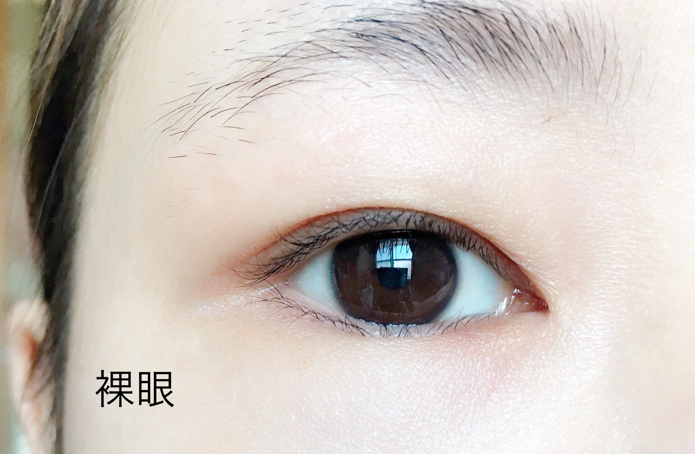 トリコニナル ワンデー/トリコニナル/ワンデー（１DAY）カラコンを使ったクチコミ（2枚目）