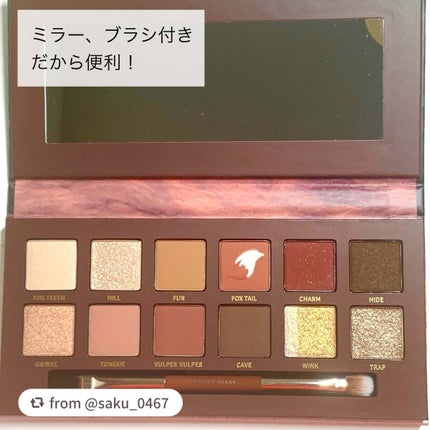 エクスプローラ12色 動物アイシャドウパレット/PERFECT DIARY/アイシャドウパレットを使ったクチコミ(4枚目)