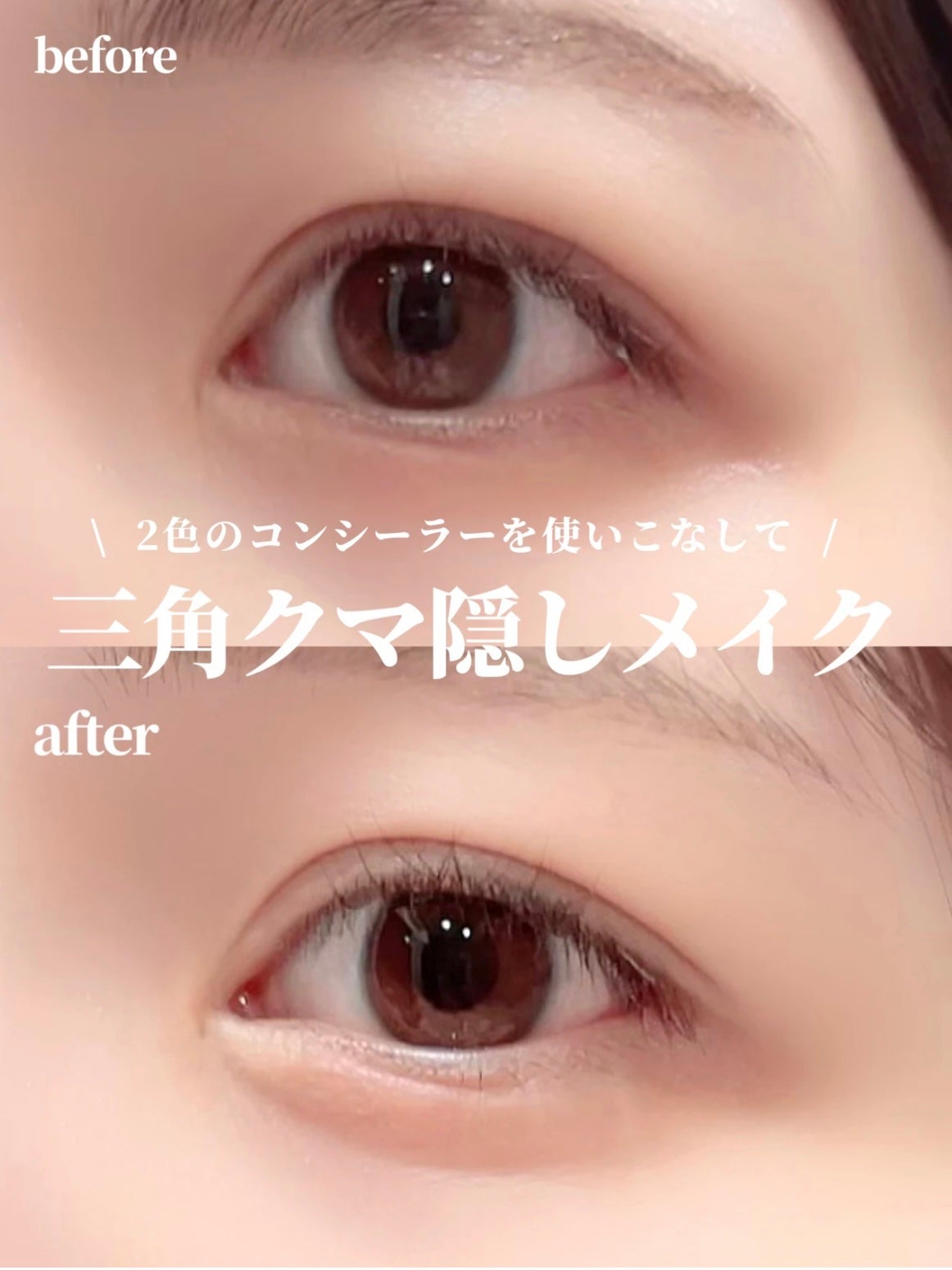 プロコンシーラーパレット/dasique/パレットコンシーラーを使ったクチコミ(1枚目)