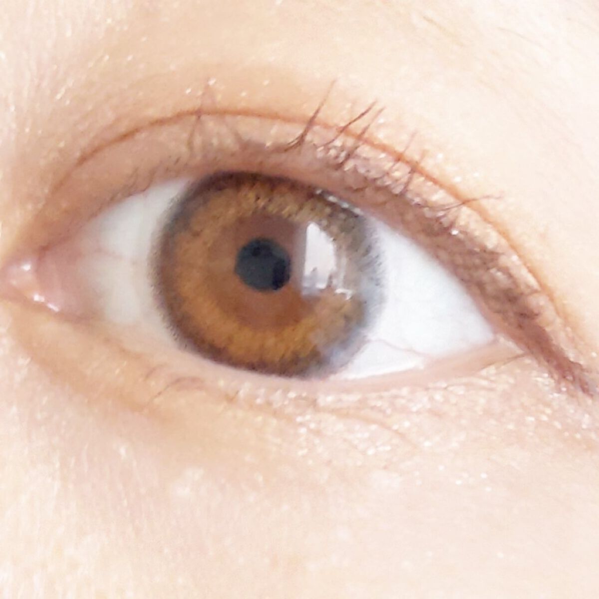 WAVEワンデー UV リング プラス フラワーコレクション/WAVE/ワンデー（１DAY）カラコンを使ったクチコミ（3枚目）