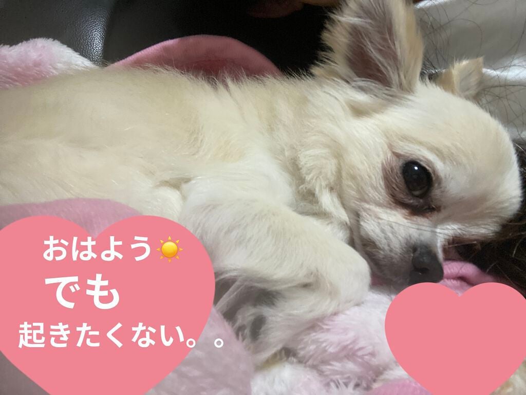 ぷぅぴぃ《紫コス部💜💗》 on LIPS 「💙💚💛💜❤💗💖💙💚💛💜❤💗💖💙💚ColourPoppresse..」(4枚目)