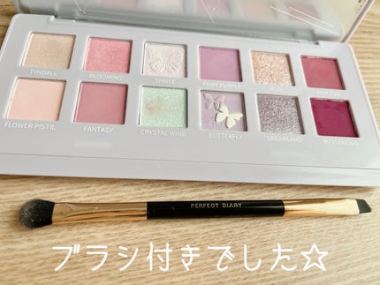 エクスプローラ12色 動物アイシャドウパレット/PERFECT DIARY/アイシャドウパレットを使ったクチコミ(2枚目)
