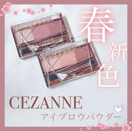 ノーズ&アイブロウパウダー/CEZANNE/パウダーアイブロウを使ったクチコミ(1枚目)