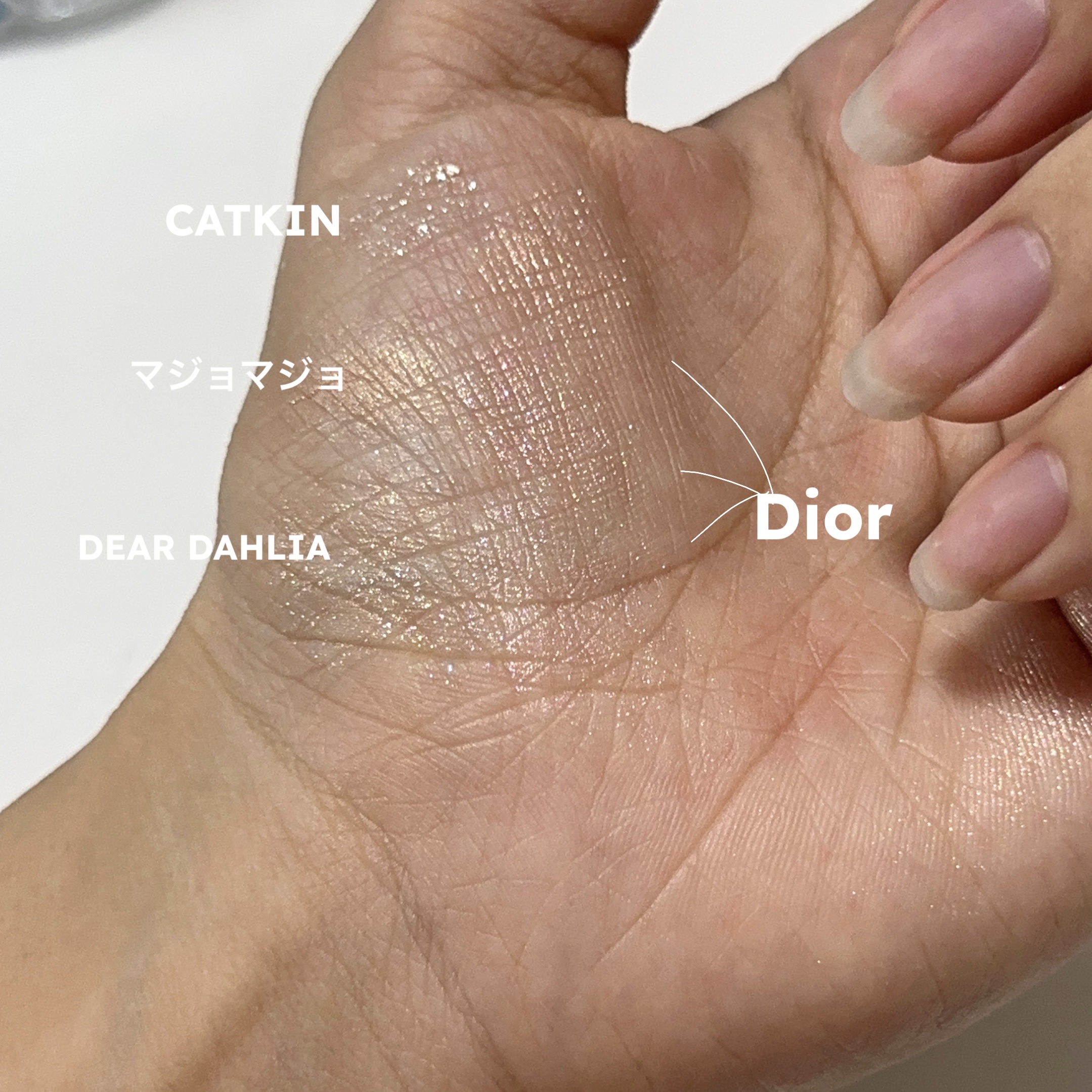 山海魂シリーズ 鮫人の涙のリキッドアイシャドウ/CATKIN/リキッドアイシャドウを使ったクチコミ（3枚目）