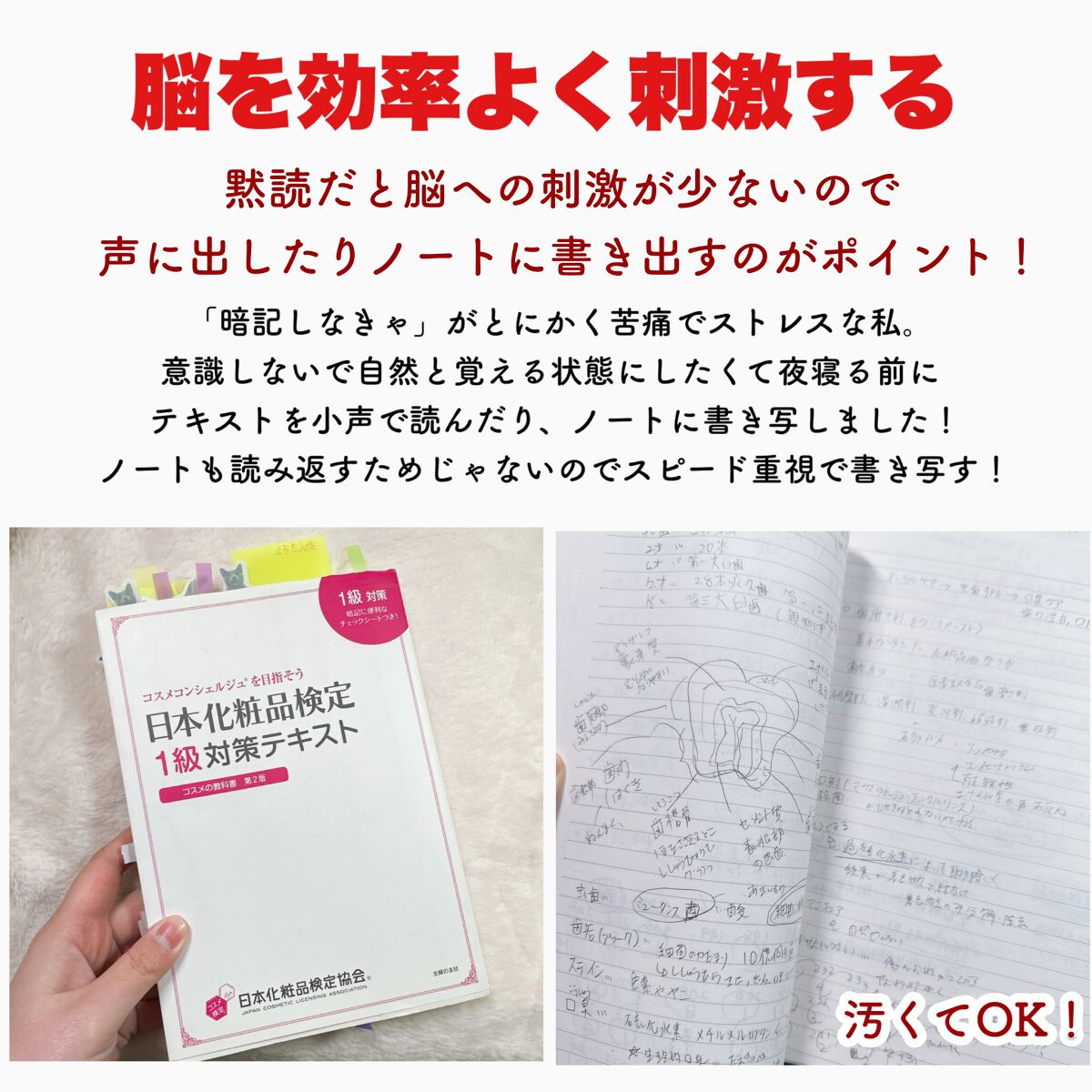 日本化粧品検定2級.3級対策テキスト/主婦の友社/書籍を使ったクチコミ（3枚目）