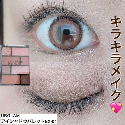 三太郎の母 on LIPS 「⭐️今日のメイク⭐️URGLAMのアイシャドウパレットEX-0..」(1枚目)