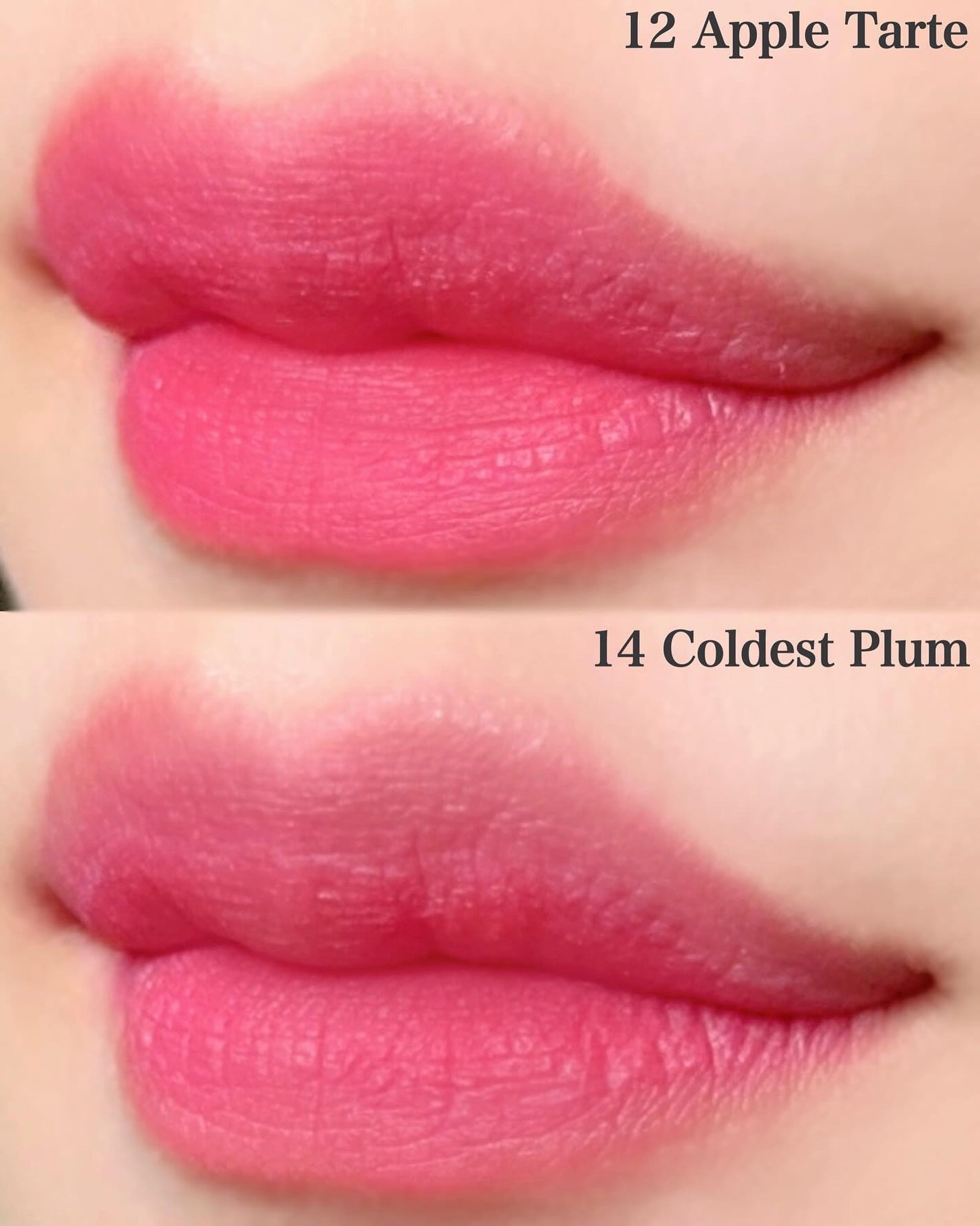 スフレカラーポット/dasique/口紅を使ったクチコミ(5枚目)