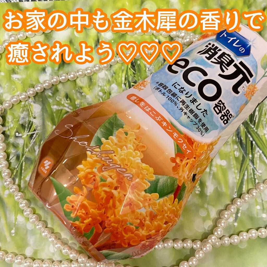 トイレの消臭元/小林製薬/その他を使ったクチコミ(1枚目)