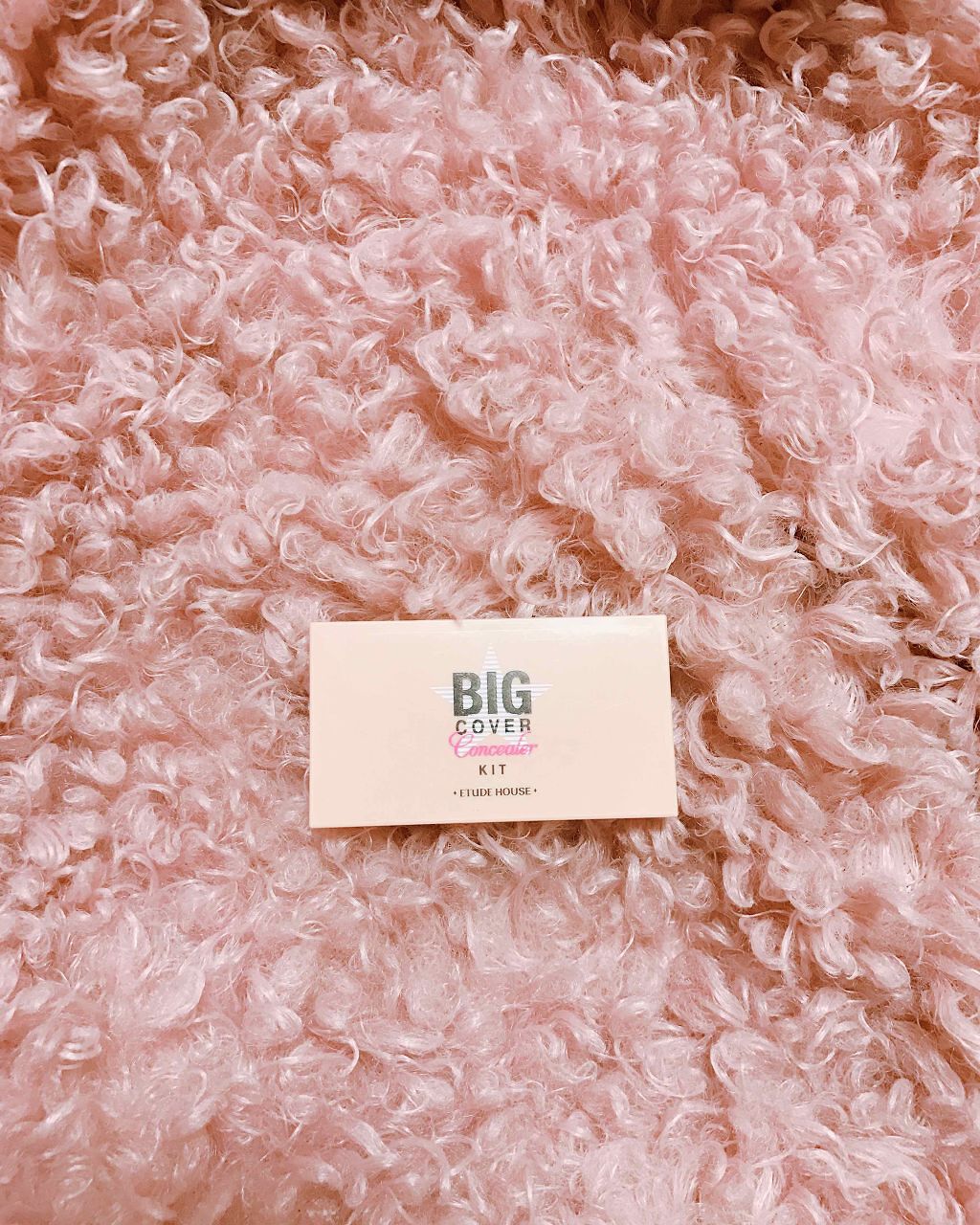 ビッグカバー コンシーラーキット/ETUDE/パレットコンシーラーを使ったクチコミ（1枚目）