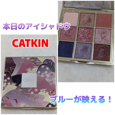 長相思シリーズ 9色アイシャドウパレット/CATKIN/アイシャドウパレットを使ったクチコミ（1枚目）