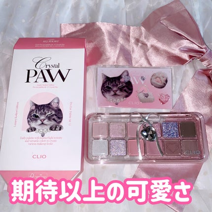 プロ アイ パレット エアー/CLIO/アイシャドウパレットを使ったクチコミ(1枚目)