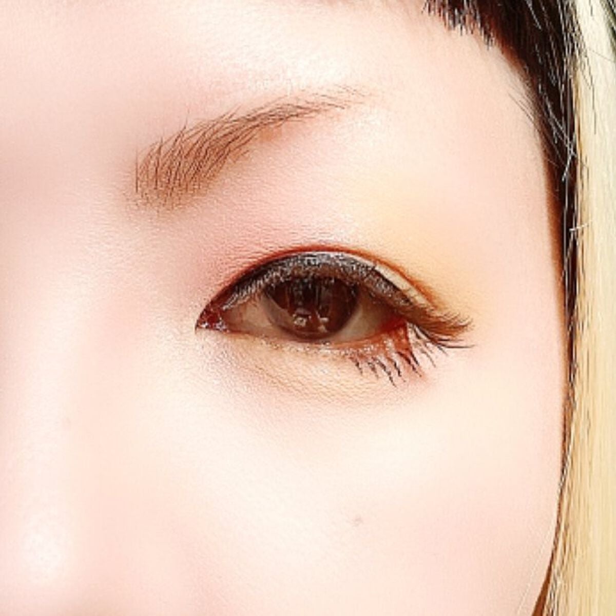 ZEESEA「ファンタジーパーク」12色アイシャドウパレット/ZEESEA/アイシャドウパレットを使ったクチコミ(5枚目)