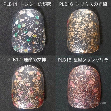 ネイルポリッシュ PLB09 未確認の四大元素【旧】/PLANET NAIL/マニキュアの画像