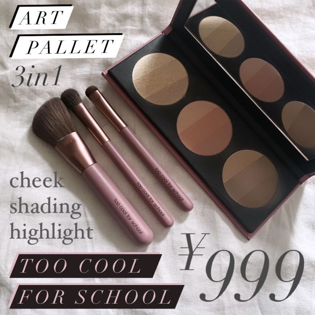 バイロダン アートパレットⅡ/too cool for school/メイクアップキットを使ったクチコミ（1枚目）