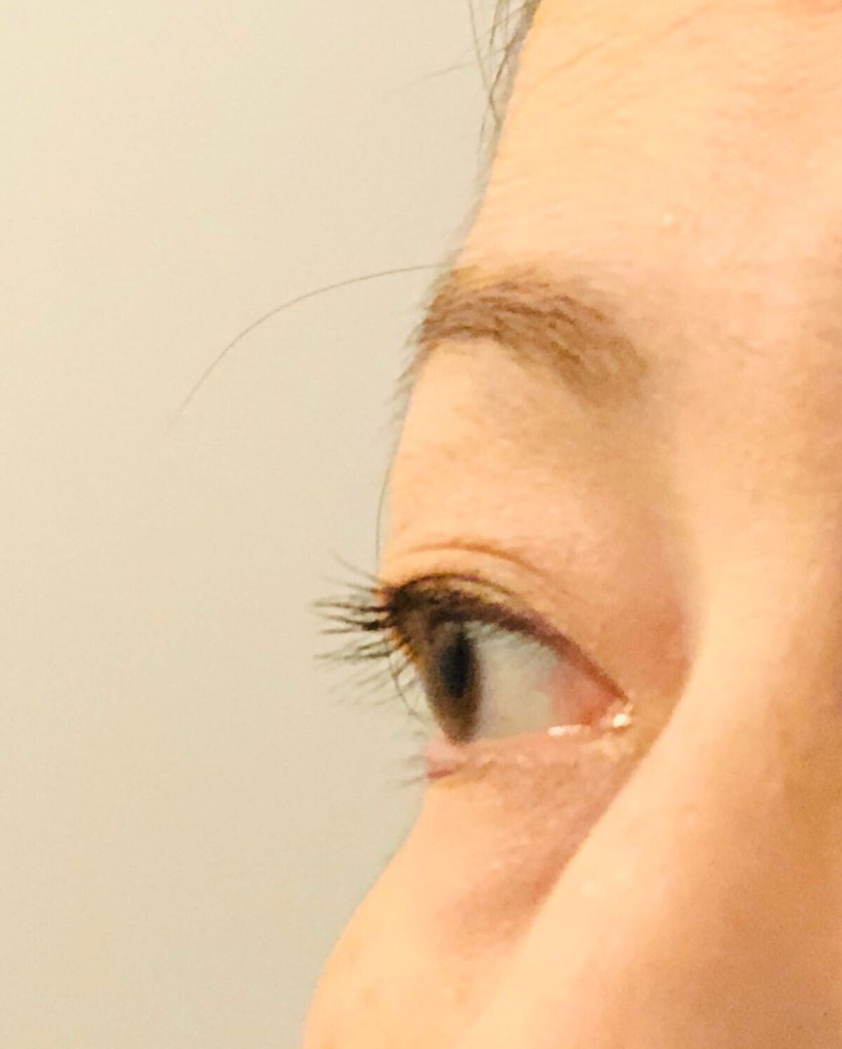 キングダム 束感カールマスカラ/キングダム/マスカラを使ったクチコミ(5枚目)