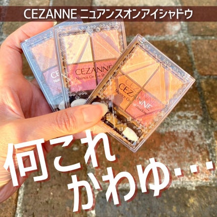ニュアンスオンアイシャドウ/CEZANNE/アイシャドウパレットを使ったクチコミ(1枚目)