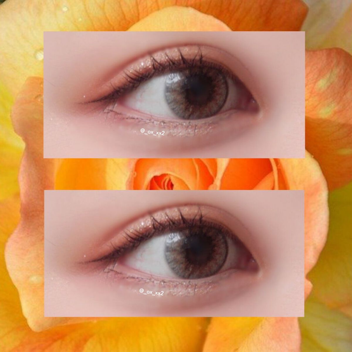 クイックラッシュカーラー/キャンメイク/マスカラ下地を使ったクチコミ（3枚目）