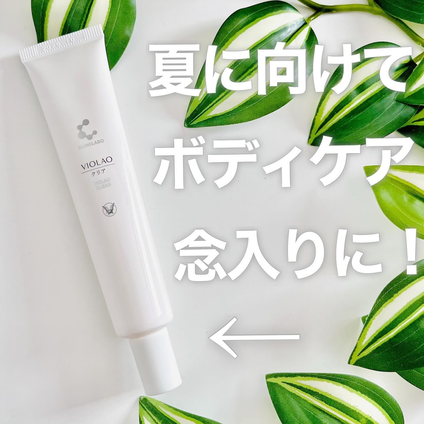 クリニラボ VIOLAO クリア/大正製薬/デリケートゾーンケアを使ったクチコミ（1枚目）