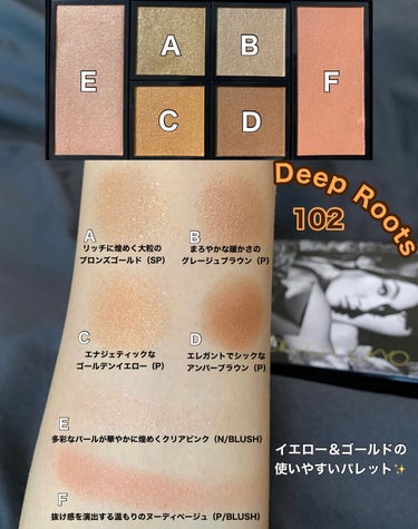 アイ ＆ チーク コンパクトアディクション “ストーリー オブ ライフ” 102 Deep Roots/ADDICTION/アイシャドウパレットを使ったクチコミ（2枚目）