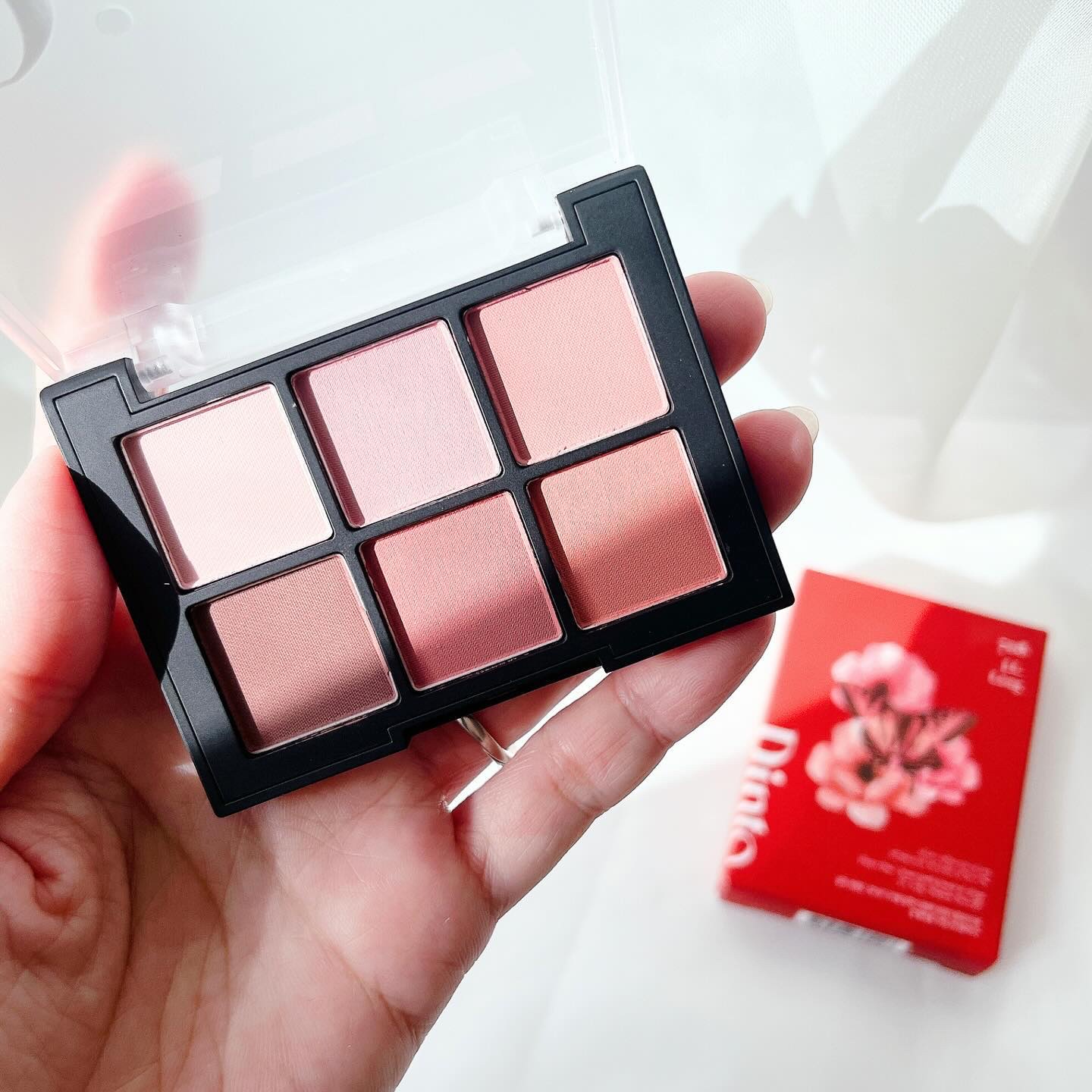 ブラーフィニシュシャドウパレット/Dinto/アイシャドウパレットを使ったクチコミ（2枚目）