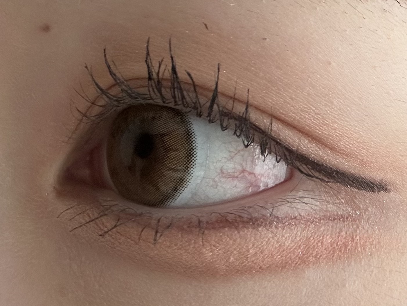 TOPARDS 1day/TOPARDS/ワンデー（１DAY）カラコンを使ったクチコミ（1枚目）