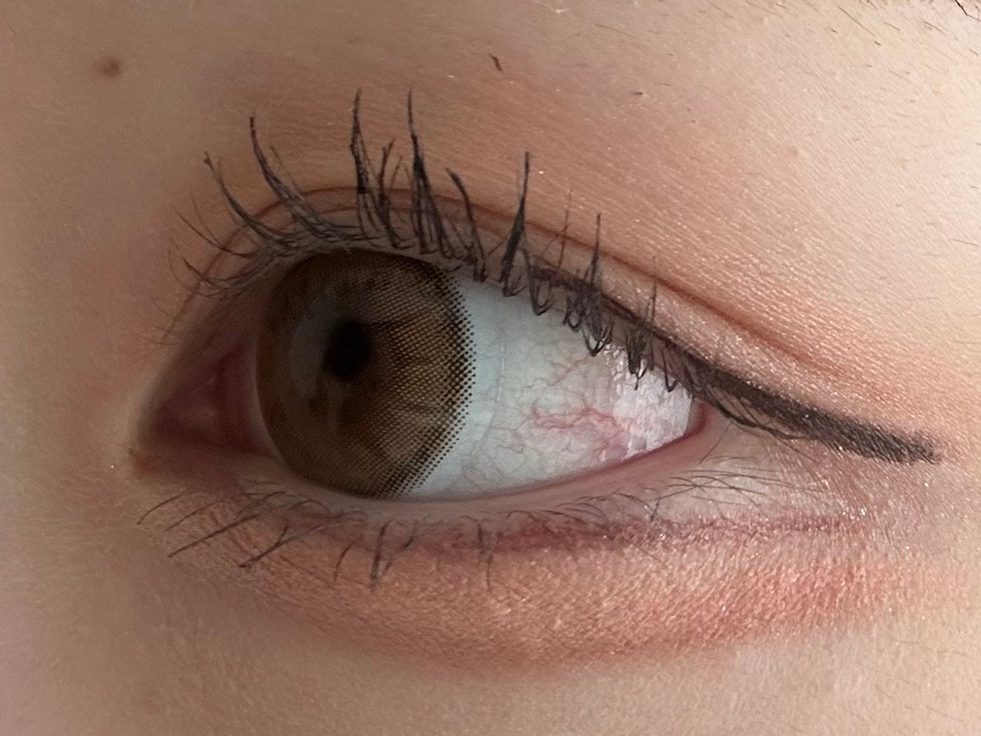 【旧品】パーフェクトスタイリストアイズ/キャンメイク/アイシャドウパレットを使ったクチコミ(1枚目)