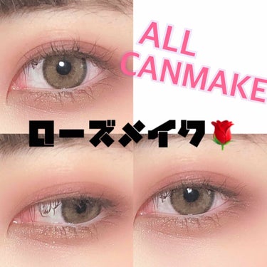 【旧品】パーフェクトスタイリストアイズ/キャンメイク/アイシャドウパレットを使ったクチコミ（1枚目）