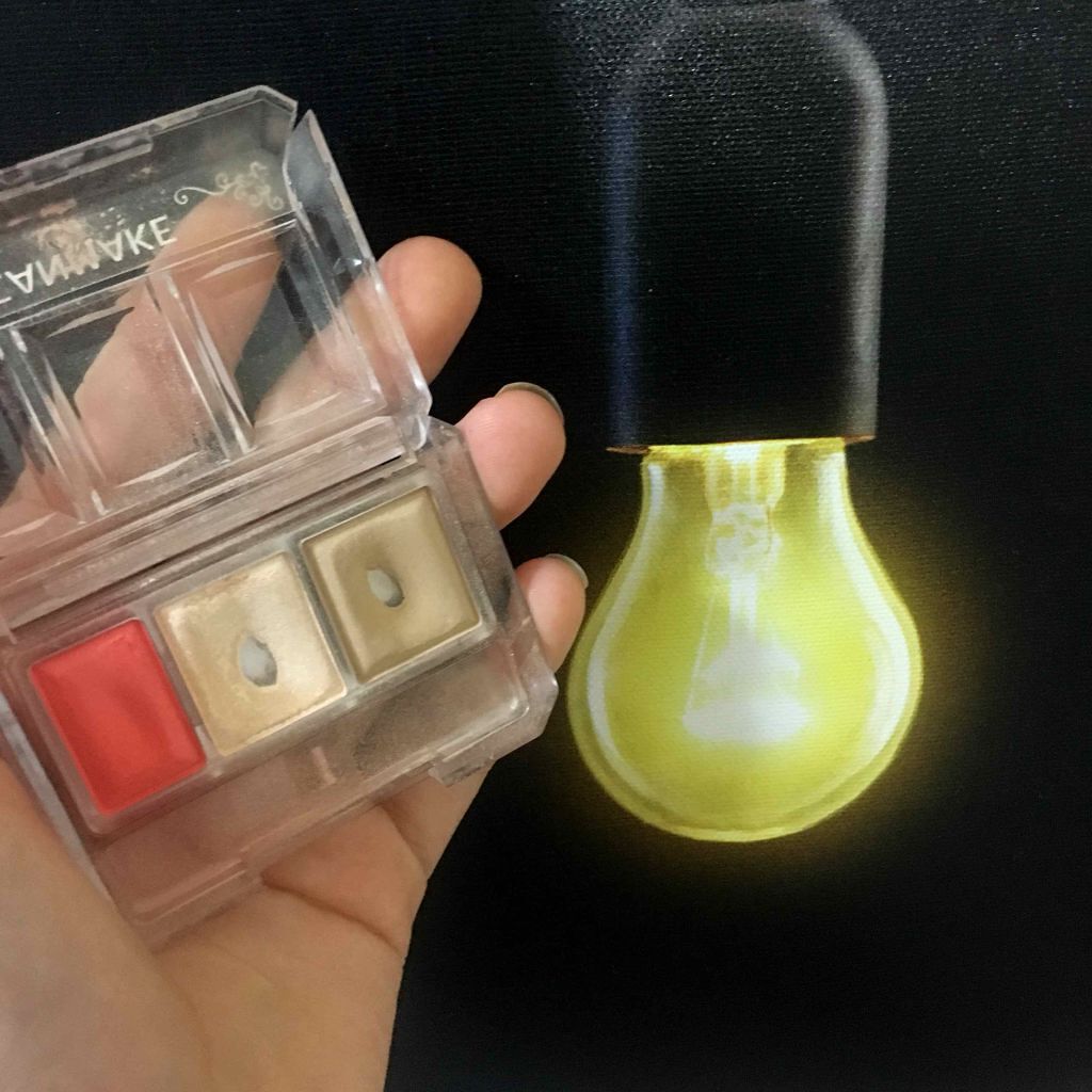 シークレットカラーアイズ/キャンメイク/アイシャドウパレットを使ったクチコミ(1枚目)