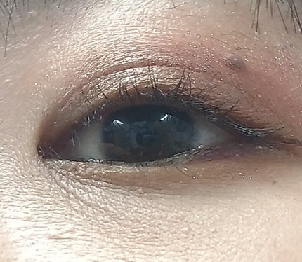 アリスドリームランドシリーズ 12色アイシャドウパレット(ZEESEA×大英博物館)/ZEESEA/アイシャドウパレットを使ったクチコミ(5枚目)